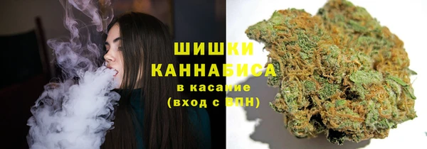 гидра Красноперекопск