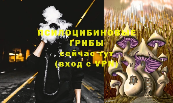 сатива Краснотурьинск