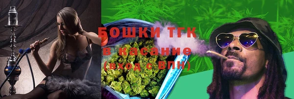 гидра Красноперекопск