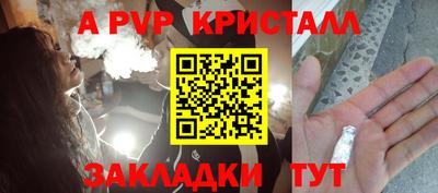 крисы Гагарин