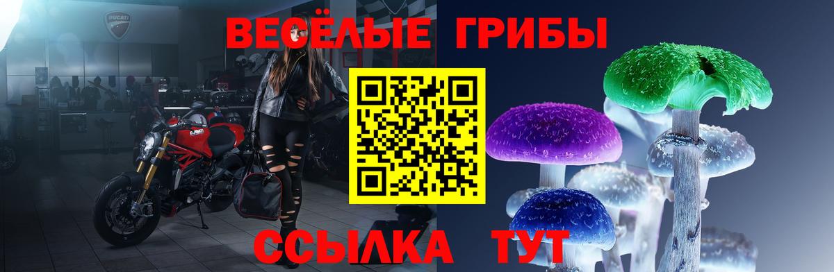 Галлюциногенные грибы прущие грибы  Вход с VPN  Галлюциногенные грибы Magic Shrooms  Самара 