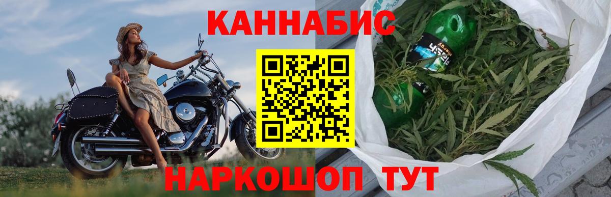 Марихуана сатива Самара